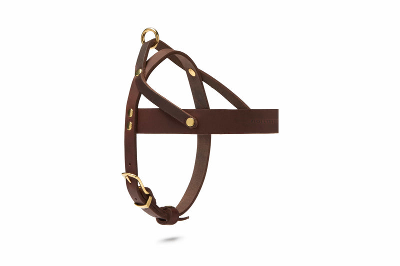 Load image into Gallery viewer, Butter Leather Dog Harness - Classic Brown by Molly And Stitch US
