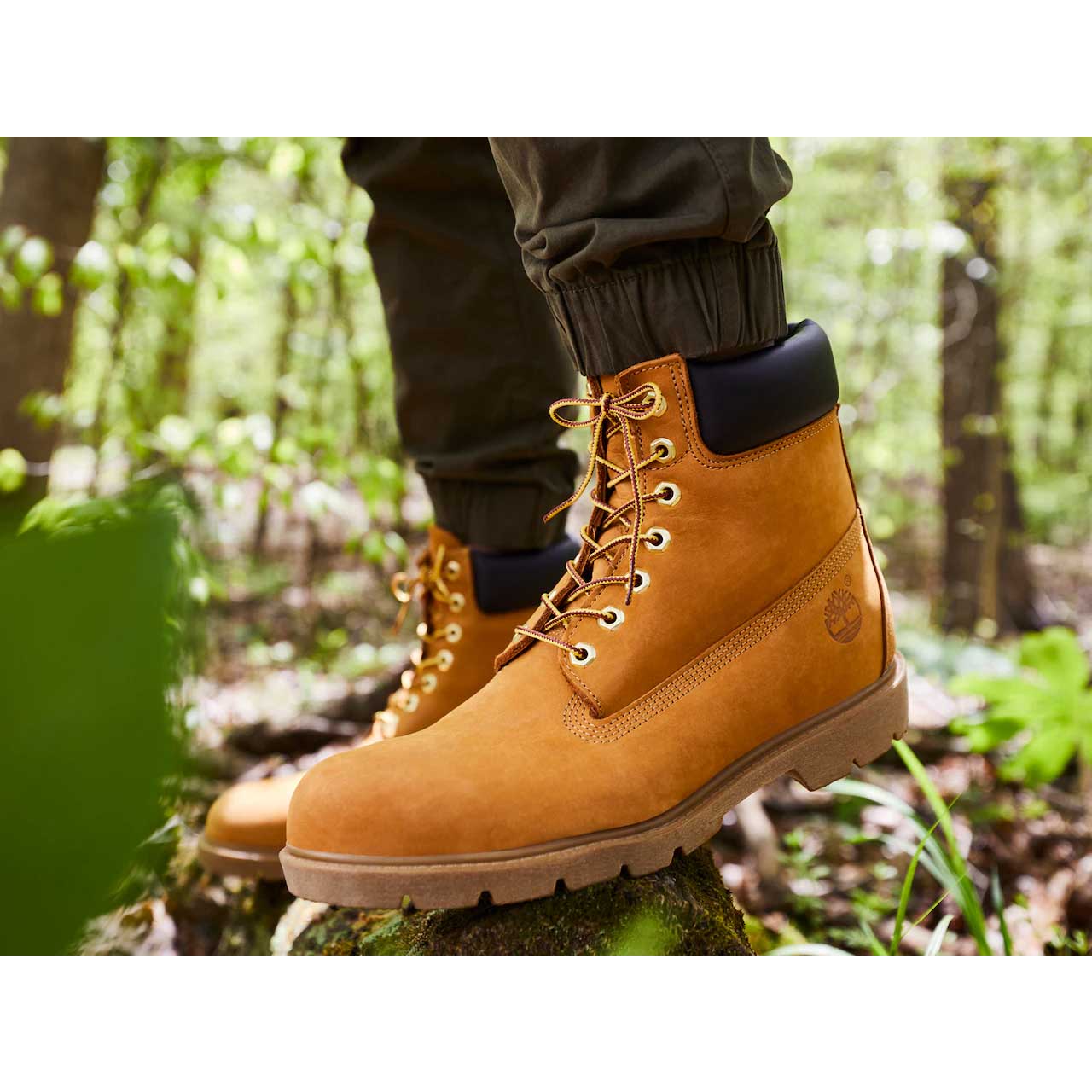 Timberland Men's 6-Inch Classic Waterproof Boots – Campmor