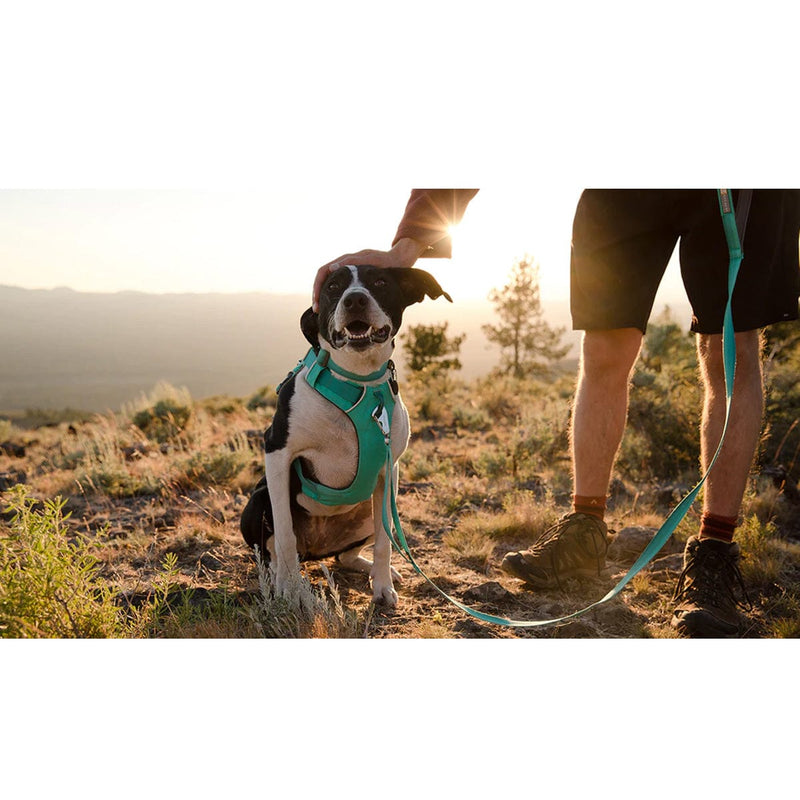 Load image into Gallery viewer, Ruffwear Front Range Harness
