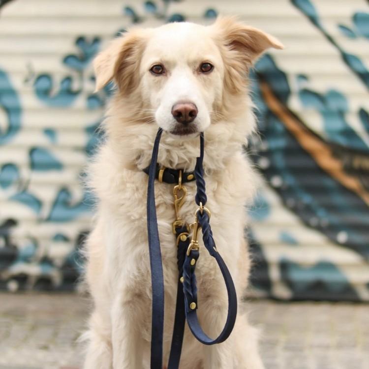 Load image into Gallery viewer, Butter Leather 2x Adjustable Dog Leash - Navy Blue by Molly And Stitch US

