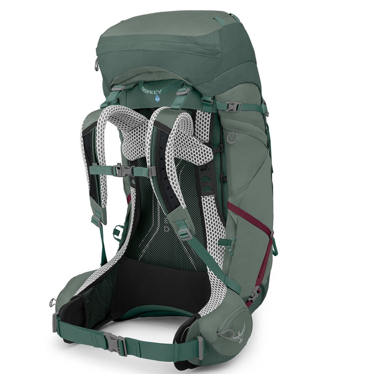 mini patagonia black hole Black Hole Mini MLC 26L  Patagonia Worn Wear
