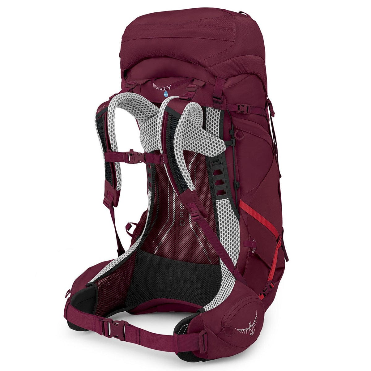 osprey aura ag 50 backpack Osprey Aura AG LT 50 Women's Backpacking Pack – Campmor