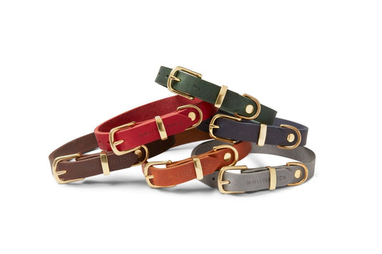 Butter Leather Dog Collar - Chili Red by Molly And Stitch US