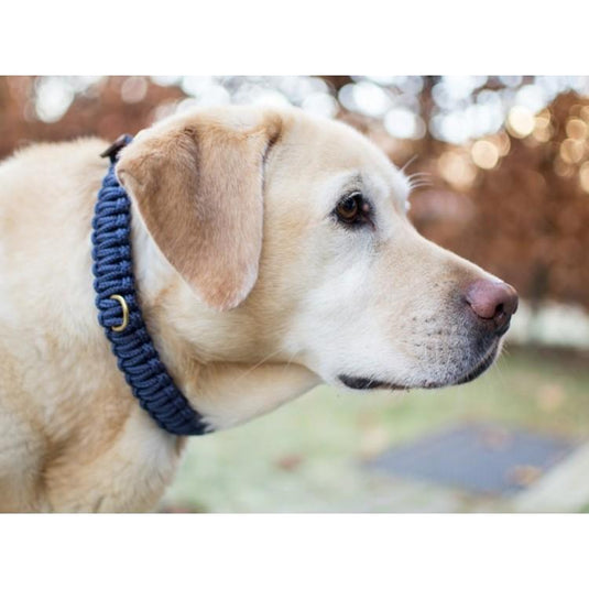 Touch of Leather Dog Collar - Navy by Molly And Stitch US