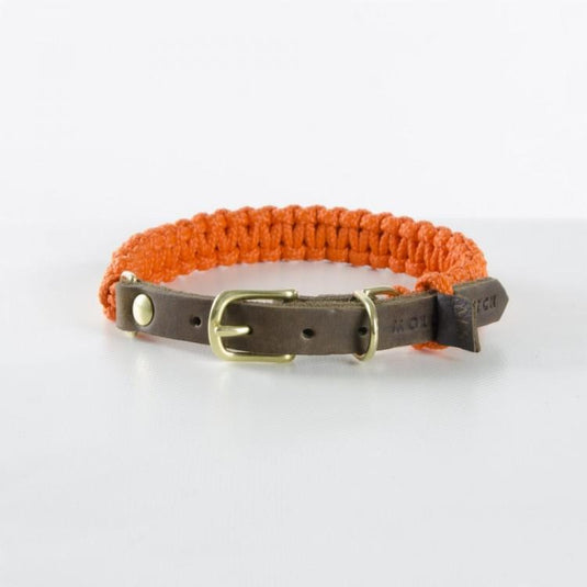 Touch of Leather Dog Collar - Pumpkin by Molly And Stitch US