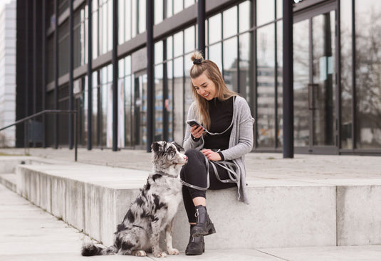 Butter Leather Dog Collar - Timeless Grey by Molly And Stitch US