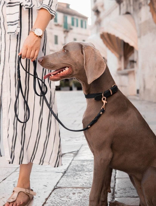 Butter Leather City Dog Leash - Navy Blue by Molly And Stitch US